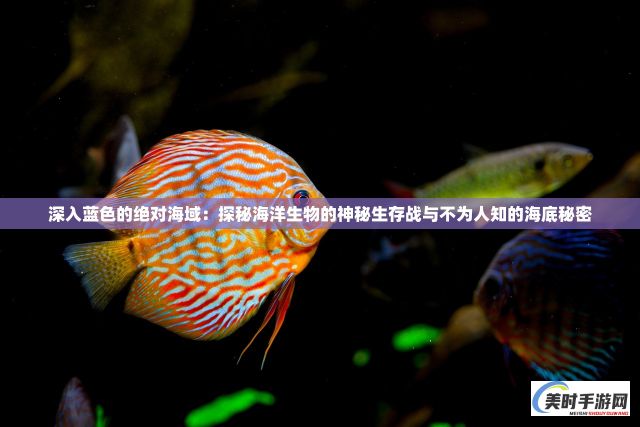 深入蓝色的绝对海域：探秘海洋生物的神秘生存战与不为人知的海底秘密